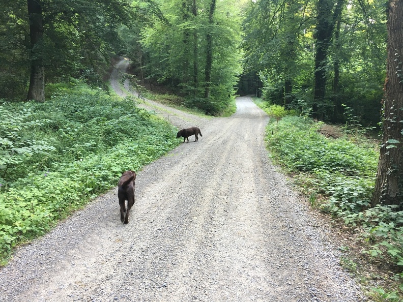 2019-08-03 08.35.20.jpg